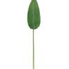 Artificial Plant 19*106cm Strelitzia reginae Aiton leaf single stem GS-50525066 2025Oct YeahFlower is one of Chinese leading OEM manufacturers and exporters , supplying the silk flowers, wholesale artificial trees