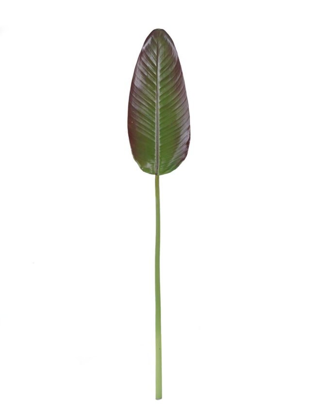 Artificial Plant 19*106cm Strelitzia reginae Aiton leaf single stem GS-50525066 2025Oct YeahFlower is one of Chinese leading OEM manufacturers and exporters , supplying the silk flowers, wholesale artificial trees