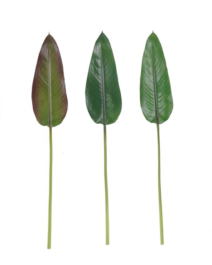 Artificial Plant 13*83cm Strelitzia reginae Aiton leaf single stem GS-50525069 2025Oct YeahFlower is one of Chinese leading OEM manufacturers and exporters , supplying the silk flowers, wholesale artificial trees