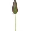 Artificial Plant 13*83cm Strelitzia reginae Aiton leaf single stem GS-50525069 2025Oct YeahFlower is one of Chinese leading OEM manufacturers and exporters , supplying the silk flowers, wholesale artificial trees