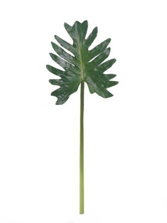 Artificial Plant 26*68cm Thaumatophyllum bipinnatifidum leaf single stem GS-50525068 2025Oct 3,000+ sqm showroom with thousands of artificial flowers, plants & trees ready for global sourcing.