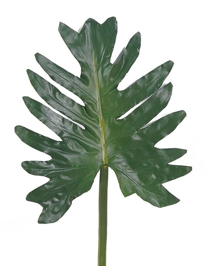 Artificial Plant Thaumatophyllum bipinnatifidum leaf single stem GS-50525067_31 Artificial Plant 21*59cm Thaumatophyllum bipinnatifidum leaf single stem GS-50525067 2025Oct YeahFlower is one of Chinese leading OEM manufacturers and exporters , supplying the silk flowers, wholesale artificial trees