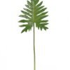Artificial Plant 26*68cm Thaumatophyllum bipinnatifidum leaf single stem GS-50525068 2025Oct YeahFlower is one of Chinese leading OEM manufacturers and exporters , supplying the silk flowers, wholesale artificial trees