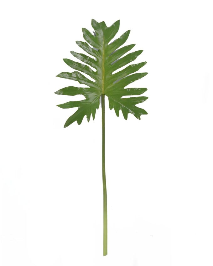 Artificial Plant 26*68cm Thaumatophyllum bipinnatifidum leaf single stem GS-50525068 2025Oct YeahFlower is one of Chinese leading OEM manufacturers and exporters , supplying the silk flowers, wholesale artificial trees
