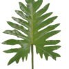 Artificial Plant 26*68cm Thaumatophyllum bipinnatifidum leaf single stem GS-50525068 2025Oct YeahFlower is one of Chinese leading OEM manufacturers and exporters , supplying the silk flowers, wholesale artificial trees