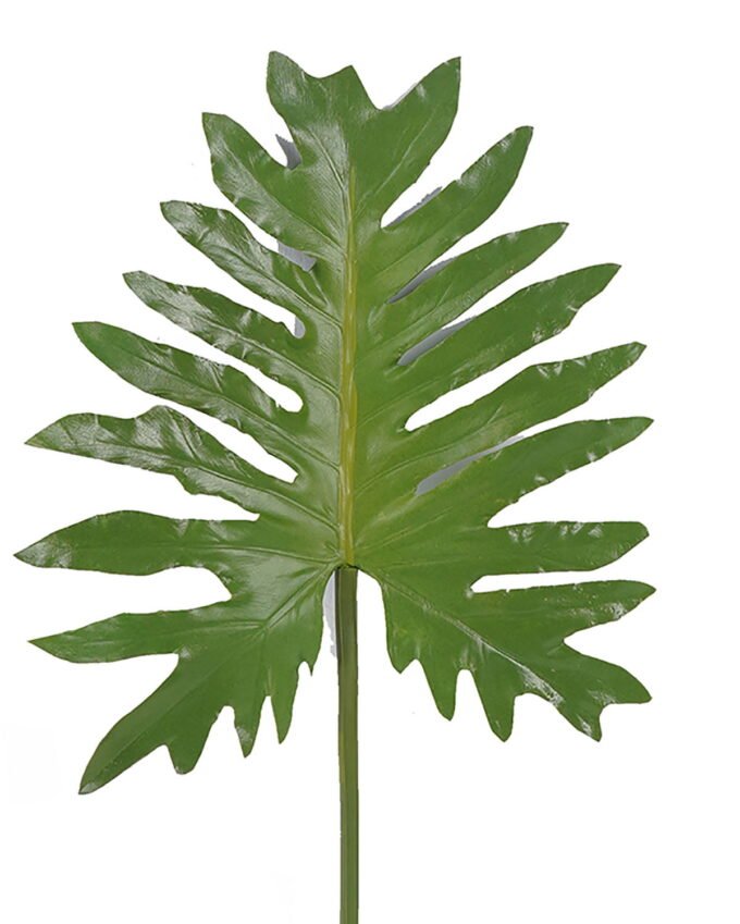 Artificial Plant 26*68cm Thaumatophyllum bipinnatifidum leaf single stem GS-50525068 2025Oct YeahFlower is one of Chinese leading OEM manufacturers and exporters , supplying the silk flowers, wholesale artificial trees