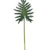 Artificial Plant Thaumatophyllum bipinnatifidum leaf single stem GS-50525070_4 Artificial Plant 35*92cm Thaumatophyllum bipinnatifidum leaf single stem GS-50525070 2025Oct YeahFlower is one of Chinese leading OEM manufacturers and exporters , supplying the silk flowers, wholesale artificial trees