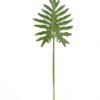 Artificial Plant Thaumatophyllum bipinnatifidum leaf single stem GS-50525070_5 Artificial Plant 35*92cm Thaumatophyllum bipinnatifidum leaf single stem GS-50525070 2025Oct YeahFlower is one of Chinese leading OEM manufacturers and exporters , supplying the silk flowers, wholesale artificial trees