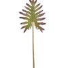 Artificial Plant Thaumatophyllum bipinnatifidum leaf single stem GS-50525070_6 Artificial Plant 35*92cm Thaumatophyllum bipinnatifidum leaf single stem GS-50525070 2025Oct YeahFlower is one of Chinese leading OEM manufacturers and exporters , supplying the silk flowers, wholesale artificial trees