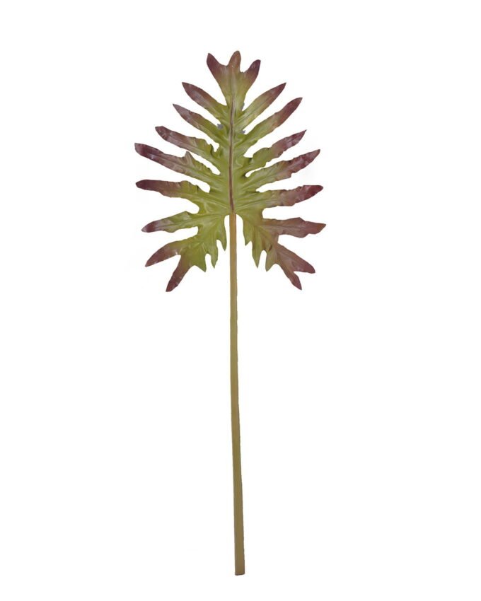 Artificial Plant Thaumatophyllum bipinnatifidum leaf single stem GS-50525070_6 Artificial Plant 35*92cm Thaumatophyllum bipinnatifidum leaf single stem GS-50525070 2025Oct YeahFlower is one of Chinese leading OEM manufacturers and exporters , supplying the silk flowers, wholesale artificial trees
