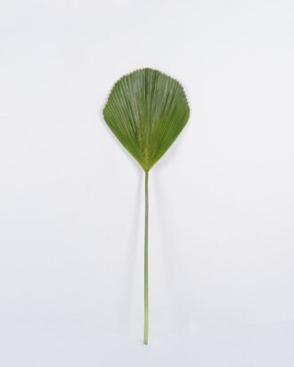 Artificial Plant 37*108cm Triangle palm leaf single stem GS-50525015 2025Oct YeahFlower is one of Chinese leading OEM manufacturers and exporters , supplying the silk flowers, wholesale artificial trees