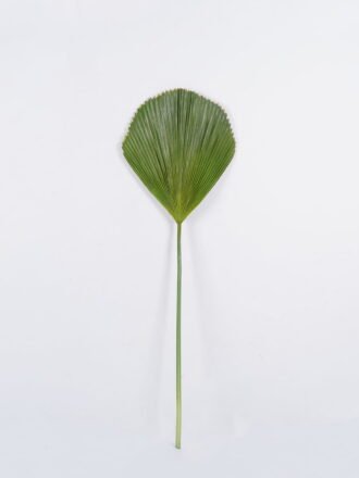 Artificial Plant 46*107cm Palm leaf single stem GS-50525014 2025Oct 3,000+ sqm showroom with thousands of artificial flowers, plants & trees ready for global sourcing.