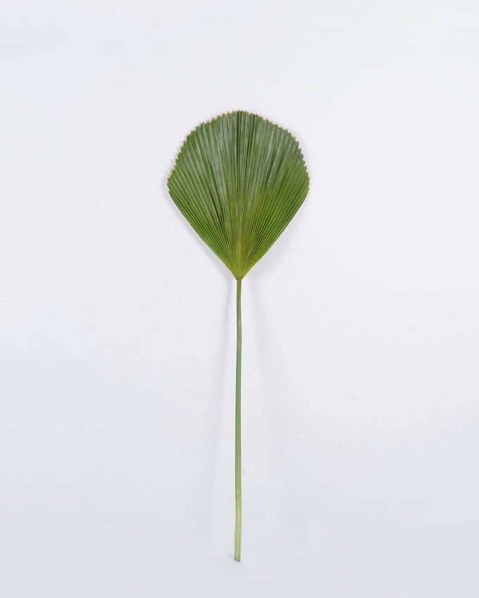 Artificial Plant 37*108cm Triangle palm leaf single stem GS-50525015 2025Oct YeahFlower is one of Chinese leading OEM manufacturers and exporters , supplying the silk flowers, wholesale artificial trees
