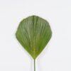 Artificial Plant 37*108cm Triangle palm leaf single stem GS-50525015 2025Oct YeahFlower is one of Chinese leading OEM manufacturers and exporters , supplying the silk flowers, wholesale artificial trees