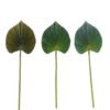 Artificial Plant 24*72cm heart-shaped livistona chinensis single stem GS-50525062 2025Oct YeahFlower is one of Chinese leading OEM manufacturers and exporters , supplying the silk flowers, wholesale artificial trees