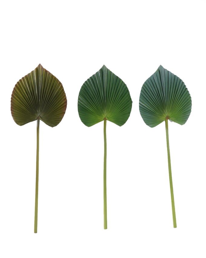Artificial Plant 24*72cm heart-shaped livistona chinensis single stem GS-50525062 2025Oct YeahFlower is one of Chinese leading OEM manufacturers and exporters , supplying the silk flowers, wholesale artificial trees