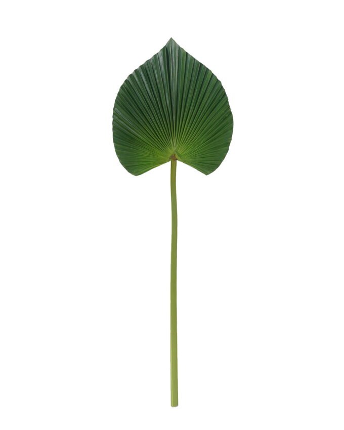 Artificial Plant 24*72cm heart-shaped livistona chinensis single stem GS-50525062 2025Oct YeahFlower is one of Chinese leading OEM manufacturers and exporters , supplying the silk flowers, wholesale artificial trees
