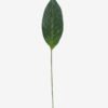 Artificial Plant 19*106cm leaf single stem GS-50525033 2025Oct YeahFlower is one of Chinese leading OEM manufacturers and exporters , supplying the silk flowers, wholesale artificial trees