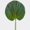 Artificial Plant livistona chinensis single stem GS-50525042_4 Artificial Plant 40*97cm livistona chinensis single stem GS-50525042 2025Oct YeahFlower is one of Chinese leading OEM manufacturers and exporters , supplying the silk flowers, wholesale artificial trees