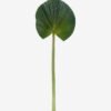 Artificial Plant livistona chinensis single stem GS-50525043_1 Artificial Plant 31*89cm livistona chinensis single stem GS-50525043 2025Oct YeahFlower is one of Chinese leading OEM manufacturers and exporters , supplying the silk flowers, wholesale artificial trees