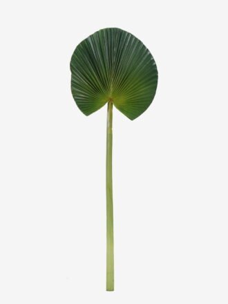 Artificial Plant 26*80cm Leaf single stem GS-50525044 2025Oct 3,000+ sqm showroom with thousands of artificial flowers, plants & trees ready for global sourcing.