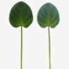 Artificial Plant livistona chinensis single stem GS-50525049_3 Artificial Plant 24*73cm livistona chinensis single stem GS-50525049 2025Oct YeahFlower is one of Chinese leading OEM manufacturers and exporters , supplying the silk flowers, wholesale artificial trees