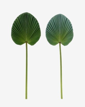 Artificial Plant 24*73cm livistona chinensis single stem GS-50525049 2025Oct YeahFlower is one of Chinese leading OEM manufacturers and exporters , supplying the silk flowers, wholesale artificial trees Artificial Plant 24*73cm livistona chinensis single stem GS-50525049 2025Oct YeahFlower is one of Chinese leading OEM manufacturers and exporters , supplying the silk flowers, wholesale artificial trees