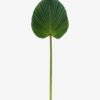 Artificial Plant livistona chinensis single stem GS-50525049_6 Artificial Plant 24*73cm livistona chinensis single stem GS-50525049 2025Oct YeahFlower is one of Chinese leading OEM manufacturers and exporters , supplying the silk flowers, wholesale artificial trees
