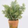 Artificial Table Plants 33*33*48cm  Cypress in Paper pot-L GS-03325064 2025SEP YeahFlower is one of Chinese leading OEM manufacturers and exporters , supplying the silk flowers, wholesale artificial trees