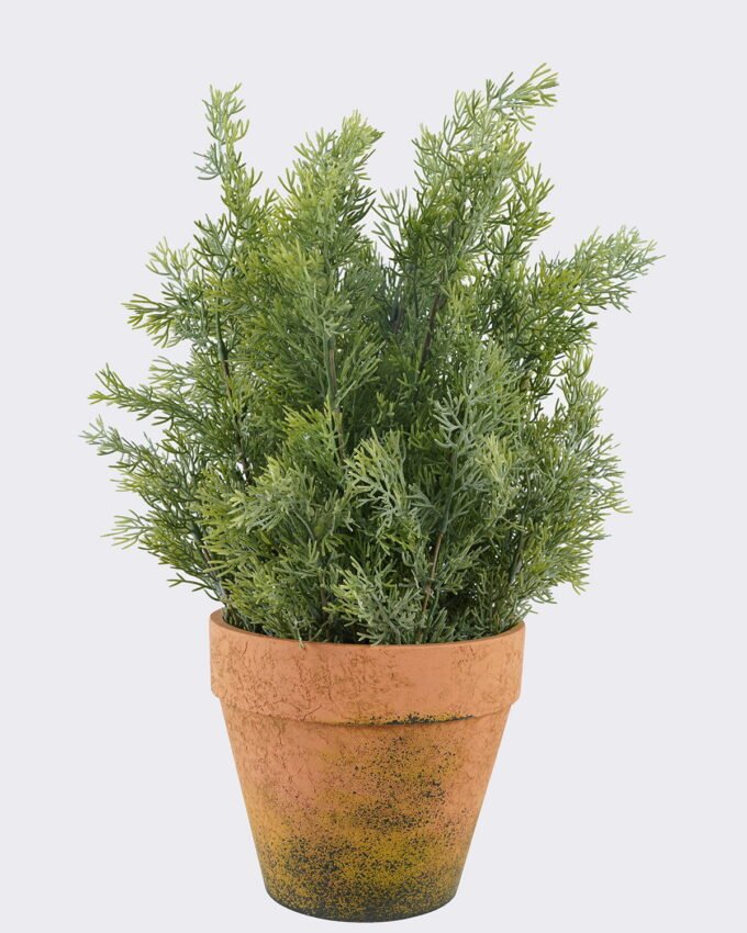 Artificial Table Plants 33*33*48cm  Cypress in Paper pot-L GS-03325064 2025SEP YeahFlower is one of Chinese leading OEM manufacturers and exporters , supplying the silk flowers, wholesale artificial trees