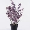 Artificial Table Plants 30*30*60cm Eucalypts in pp pot GS-15425014CT 2025SEP YeahFlower is one of Chinese leading OEM manufacturers and exporters , supplying the silk flowers, wholesale artificial trees