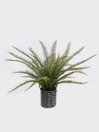 Dried Flowers 31cm Plant *6 bush GS-57923004 2025Oct 3,000+ sqm showroom with thousands of artificial flowers, plants & trees ready for global sourcing.
