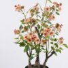 Artificial Table Plants 30*30*60cm Rose in pp pot GS-15425016CT-O1 2025SEP YeahFlower is one of Chinese leading OEM manufacturers and exporters , supplying the silk flowers, wholesale artificial trees