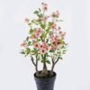 Artificial Table Plants 30*30*60cm Rose in pp pot GS-15425016CT 2025SEP YeahFlower is one of Chinese leading OEM manufacturers and exporters , supplying the silk flowers, wholesale artificial trees