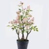 Artificial Table Plants 30*30*60cm Rose in pp pot GS-15425016CT 2025SEP YeahFlower is one of Chinese leading OEM manufacturers and exporters , supplying the silk flowers, wholesale artificial trees
