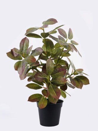 Artificial Table Plants 33*33*48cm  Cypress in Paper pot-L GS-03325064 2025SEP 3,000+ sqm showroom with thousands of artificial flowers, plants & trees ready for global sourcing.