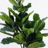 Artificial Tree 130cm Ficus microcarpa in PP Pot GS-51125021CT 2025Oct YeahFlower is one of Chinese leading OEM manufacturers and exporters , supplying the silk flowers, wholesale artificial trees