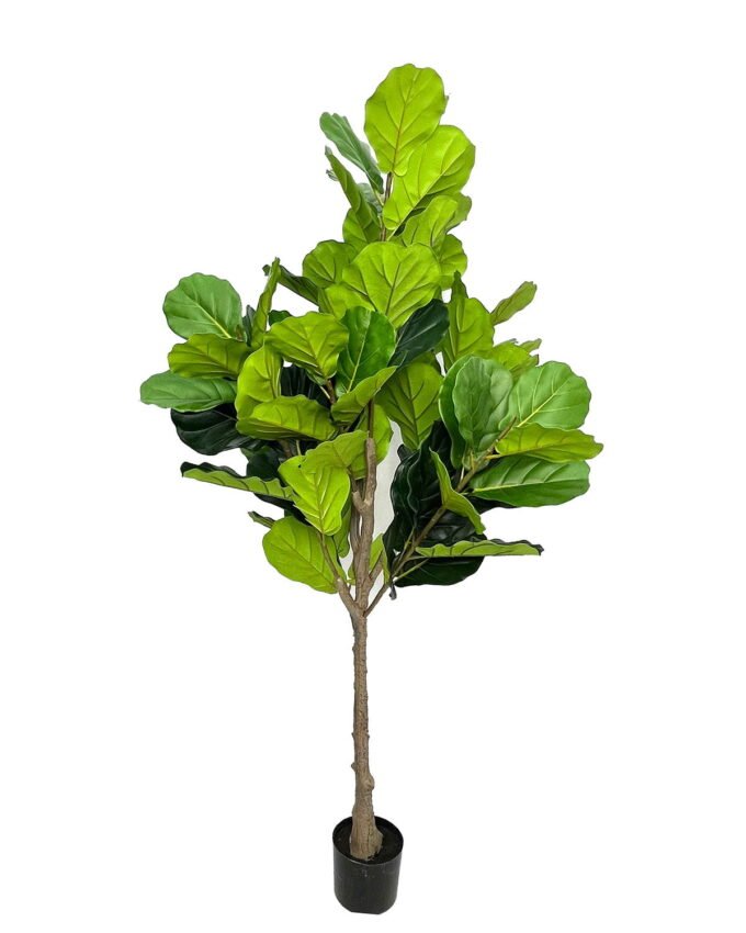 Artificial Tree 175cm Ficus microcarpa in PP Pot GS-51125023CT 2025Oct YeahFlower is one of Chinese leading OEM manufacturers and exporters , supplying the silk flowers, wholesale artificial trees