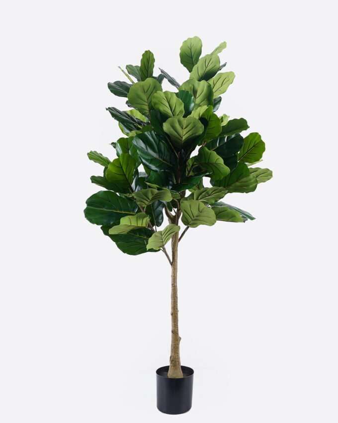 Artificial Tree 175cm Ficus microcarpa in PP Pot GS-51125023CT 2025Oct YeahFlower is one of Chinese leading OEM manufacturers and exporters , supplying the silk flowers, wholesale artificial trees
