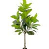 Artificial Tree 175cm Rubber tree in PP Pot GS-51125018CT 2025Oct YeahFlower is one of Chinese leading OEM manufacturers and exporters , supplying the silk flowers, wholesale artificial trees