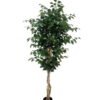 Artificial Tree 180cm Ficus microcarpa *3 in PP Pot/1008 lvs/Real tree trunk GS-51125012CT 2025Oct YeahFlower is one of Chinese leading OEM manufacturers and exporters , supplying the silk flowers, wholesale artificial trees