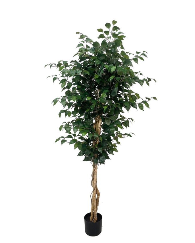 Artificial Tree 180cm Ficus microcarpa *3 in PP Pot/1008 lvs/Real tree trunk GS-51125012CT 2025Oct YeahFlower is one of Chinese leading OEM manufacturers and exporters , supplying the silk flowers, wholesale artificial trees