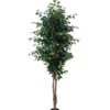 Artificial Tree 210cm Ficus microcarpa *3 in PP Pot/1260 lvs/Real tree trunk GS-51125013CT 2025Oct YeahFlower is one of Chinese leading OEM manufacturers and exporters , supplying the silk flowers, wholesale artificial trees