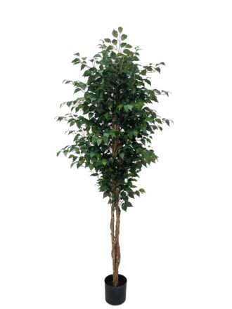 Artificial Tree 180cm Ficus microcarpa *3 in PP Pot/1008 lvs/Real tree trunk GS-51125012CT 2025Oct 3,000+ sqm showroom with thousands of artificial flowers, plants & trees ready for global sourcing.