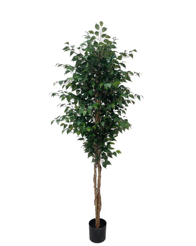 Artificial Tree 210cm Ficus microcarpa *3 in PP Pot/1260 lvs/Real tree trunk GS-51125013CT 2025Oct YeahFlower is one of Chinese leading OEM manufacturers and exporters , supplying the silk flowers, wholesale artificial trees