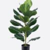 Artificial Tree 80cm Ficus microcarpa in PP Pot/21 lvs GS-51125019CT 2025Oct YeahFlower is one of Chinese leading OEM manufacturers and exporters , supplying the silk flowers, wholesale artificial trees