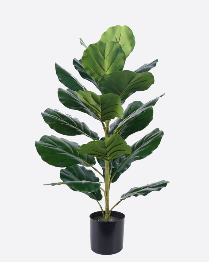 Artificial Tree 80cm Ficus microcarpa in PP Pot/21 lvs GS-51125019CT 2025Oct YeahFlower is one of Chinese leading OEM manufacturers and exporters , supplying the silk flowers, wholesale artificial trees