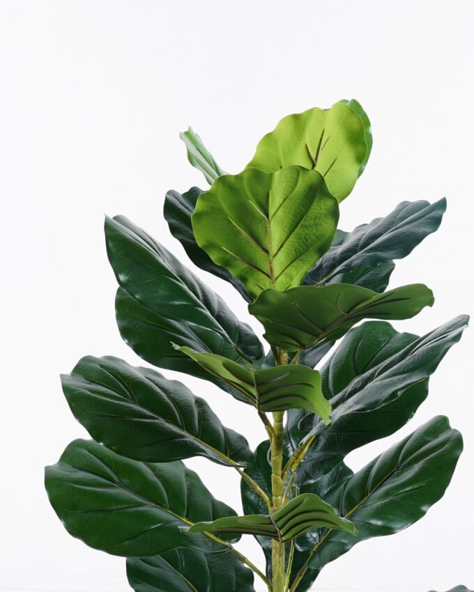 Artificial Tree 80cm Ficus microcarpa in PP Pot/21 lvs GS-51125019CT 2025Oct YeahFlower is one of Chinese leading OEM manufacturers and exporters , supplying the silk flowers, wholesale artificial trees