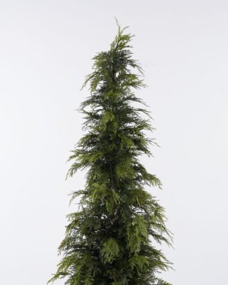 Artificial Tree 50*50*180cm Cypress tree in PP pot GS-10625002CT 2025SEP YeahFlower is one of Chinese leading OEM manufacturers and exporters , supplying the silk flowers, wholesale artificial trees Artificial Tree 50*50*180cm Cypress tree in PP pot GS-10625002CT 2025SEP YeahFlower is one of Chinese leading OEM manufacturers and exporters , supplying the silk flowers, wholesale artificial trees