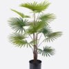 Artificial Tree 50*50*90cm Tree *3 in PP pot/12 lvs GS-26625004CT 2025SEP YeahFlower is one of Chinese leading OEM manufacturers and exporters , supplying the silk flowers, wholesale artificial trees
